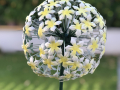 Pusteblumen-Deko - Boutique Ferienwohnung Bodensee